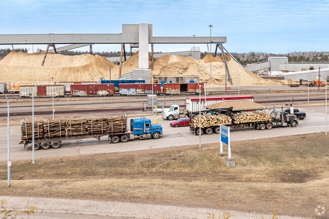 Logging trucks line up daily to deliver trees to the Sappi Paper Mill.