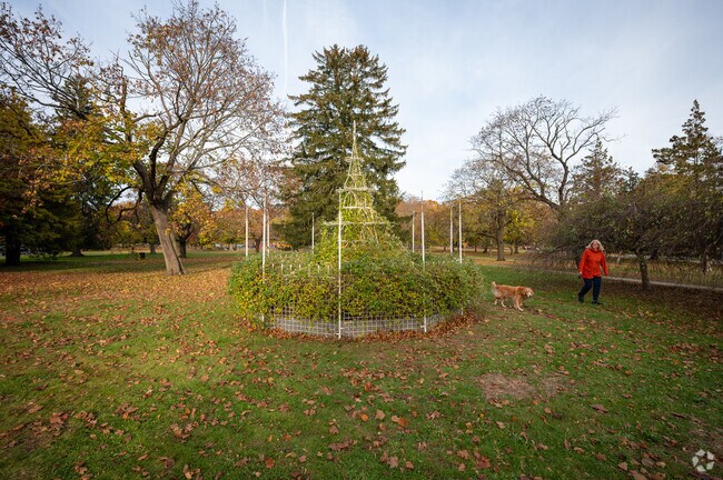 Lippitt Memorial Park offers peaceful walks for locals and their dogs near Hope.