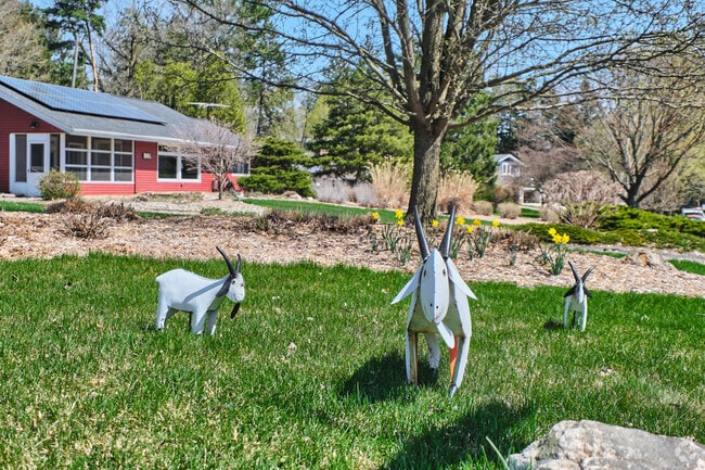Small details like these lawn goats add small-town charm to North Area, Ann Arbor, MI.