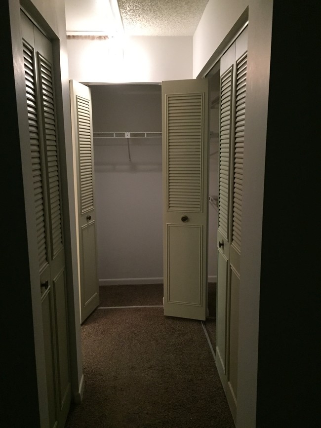 Closet space off of the bedroom