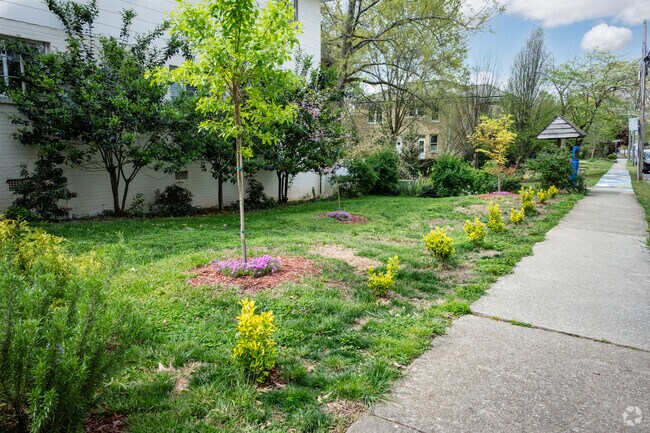 Willow Oaks Park has very beautiful landscaping for the locals to enjoy.