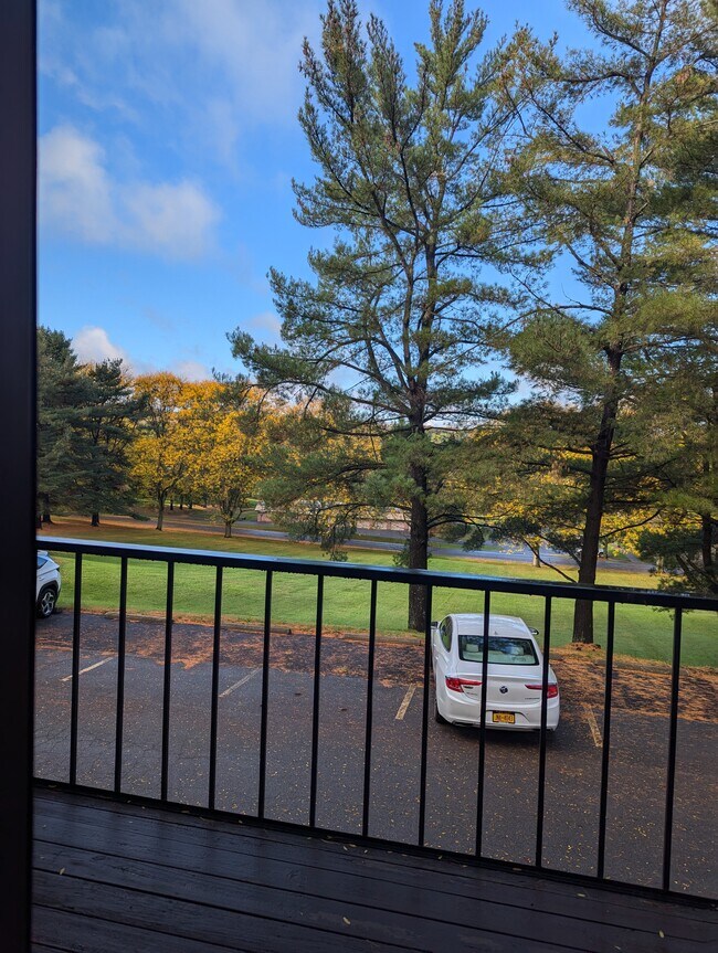 38 Chestnut Hills, New Hartford, NY 13413