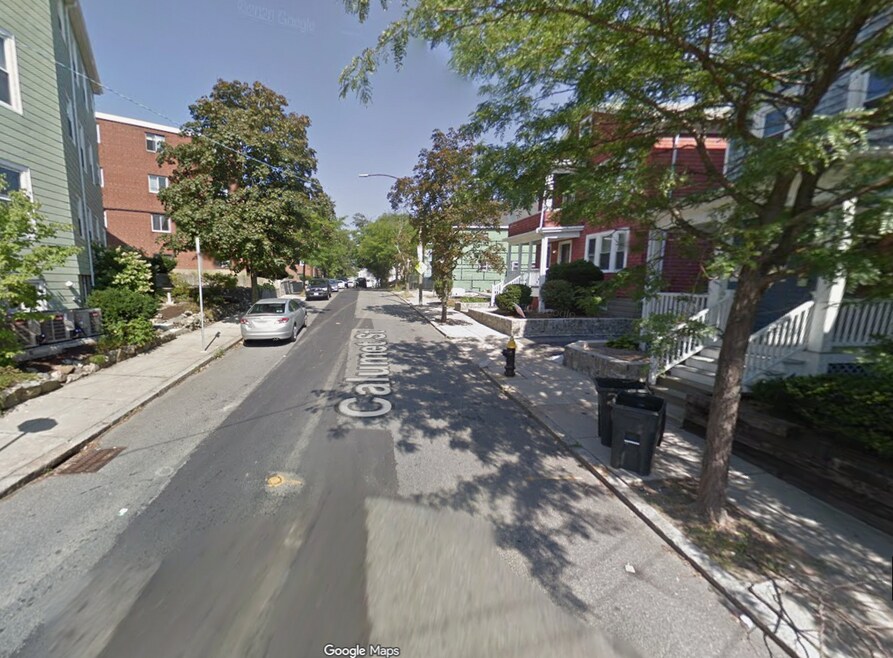 224 Calumet St unit 1, Roxbury Crossing, MA 02120 - photo 1