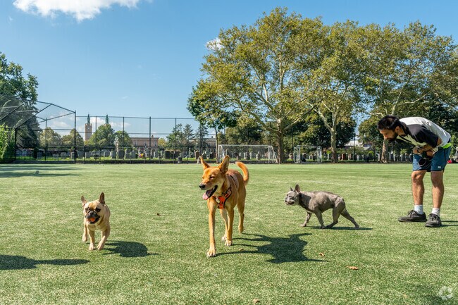 Enjoy some play time with your furry friends at Grover Cleveland Park.