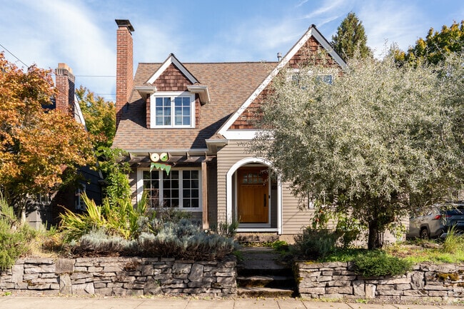 Beautiful Olive trees decorate the yards of homes in Mount Tabor.