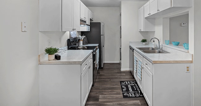 Promenade at Summer Trace Apartments, New Port Richey, FL 34653 - photo 5