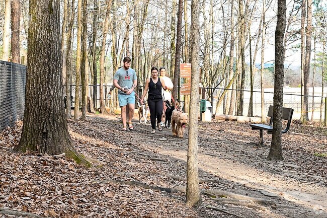 Remy’s Dog Park near Tarpley City gives pets space to roam.
