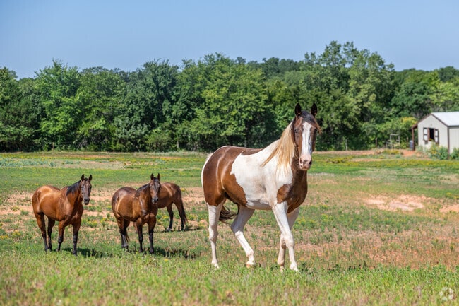 Franklin-Denver provides ample green space for farm animals to enjoy.