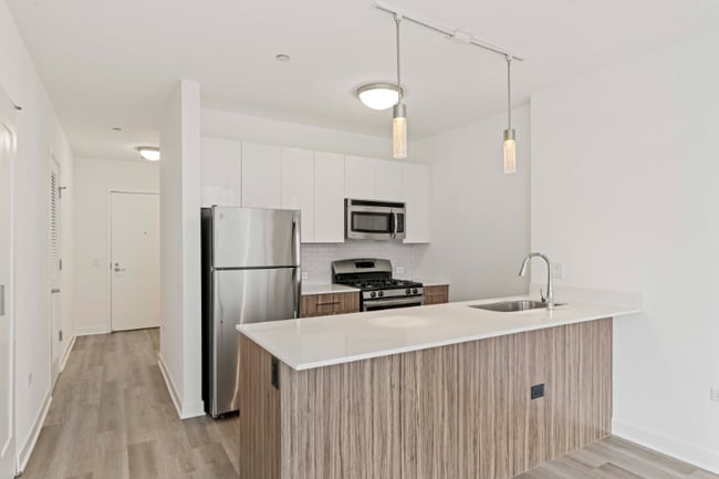 325 W Wolf Point Plaza, Chicago, IL 60654 - photo 4