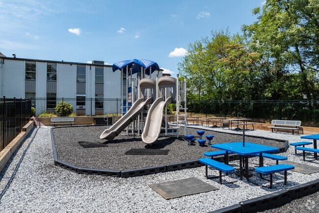 The New Vistas School.