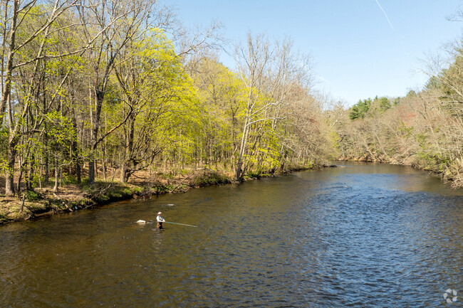 A man wading in the Shetucket River in Scotland fly fishes.