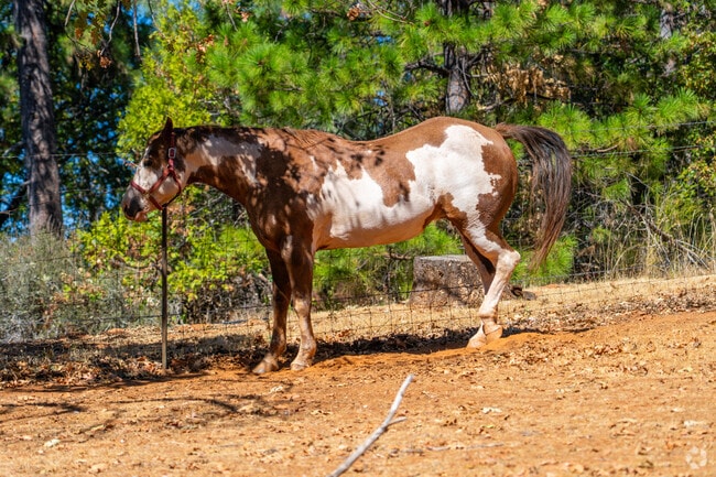 Georgetown is considered one of El Dorado County’s best-kept secrets for its peaceful lifestyle and natural beauty.