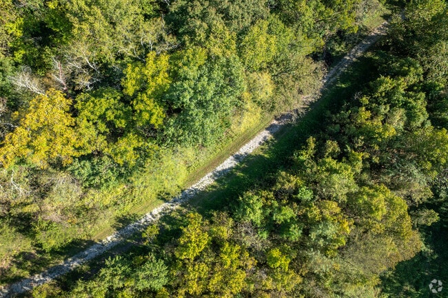 Enjoy a stroll through the trails at Strawn Road Park in Kings Meadow.