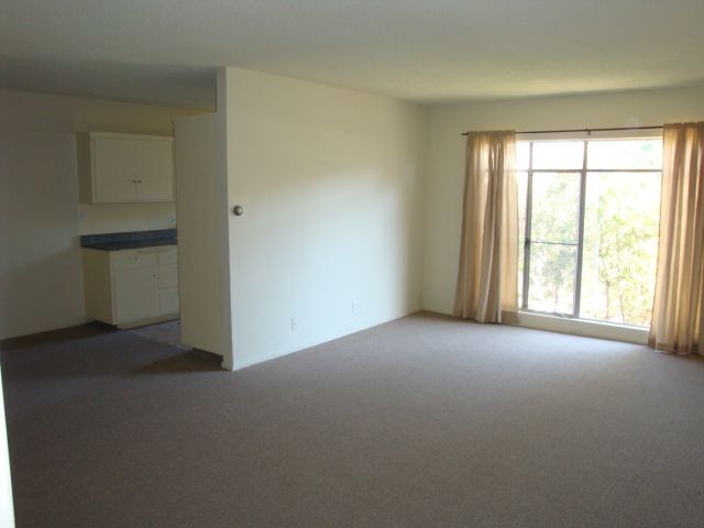 526 S St Andrews Place unit 27, Los Angeles, CA 90020 - photo 3