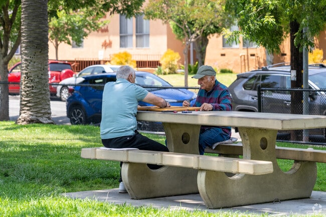 Two elderly men sit across from each other at a shaded picnic table in Maple Park, fully engrossed in a lively game of backgammon.