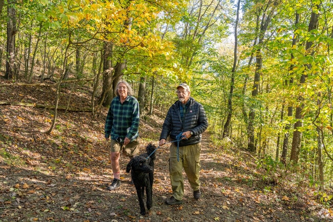 Enjoy 250+ acres of accessible hiking trails throughout Stackhouse Park.