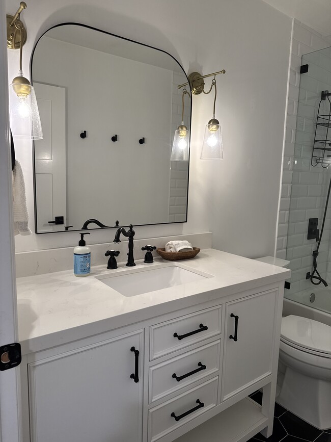 (Guest) Bathroom for renter