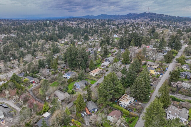 Aerial View of The Tree-Lined Neighborhood of Collins View Portland