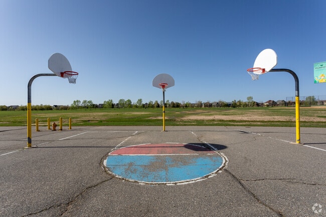 Central Park's youngest athletes enjoy a game of basketball at Westerly Creek Elementary.
