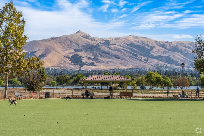 Central Park Dog Park offers plenty of space to explore near California mountains.