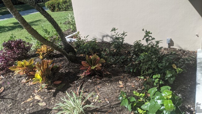 2042 Harley Ave, Sarasota, FL 34235 - photo 5