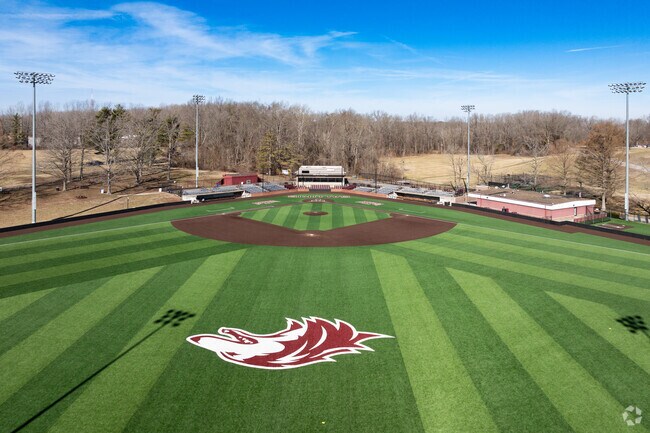 Experience the energy of college baseball at SIU’s field in Carbondale.