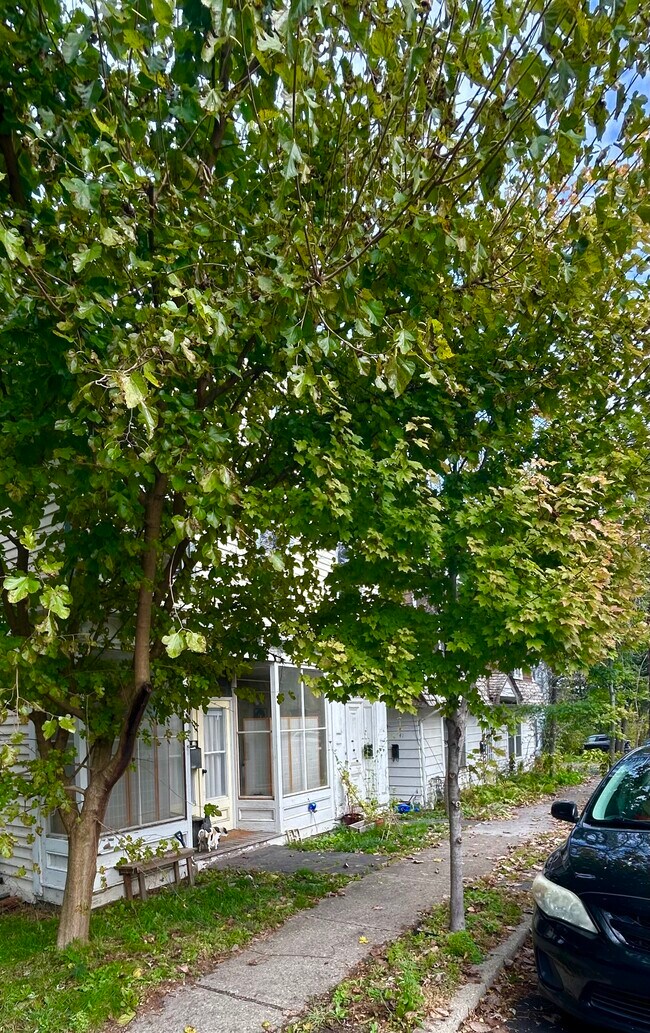 39 E Bridge St, Saugerties, NY 12477 - photo 3