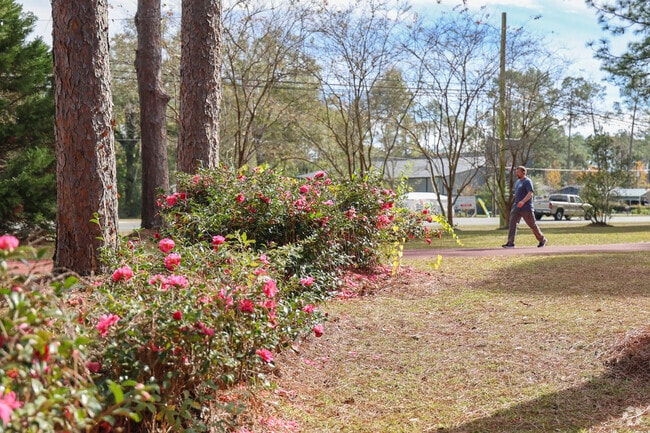The roses at Azalea Park are beautiful all year round.