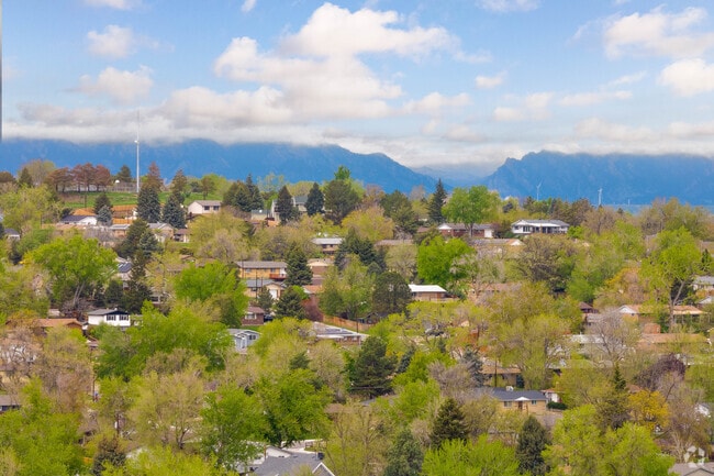 The hill on the northwest corner of Lamar Heights provides homeowners terrific mountain views.