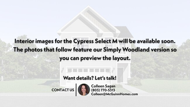 3300 Sunset Blvd unit 38761964, West Columbia, SC 29169 - photo 3