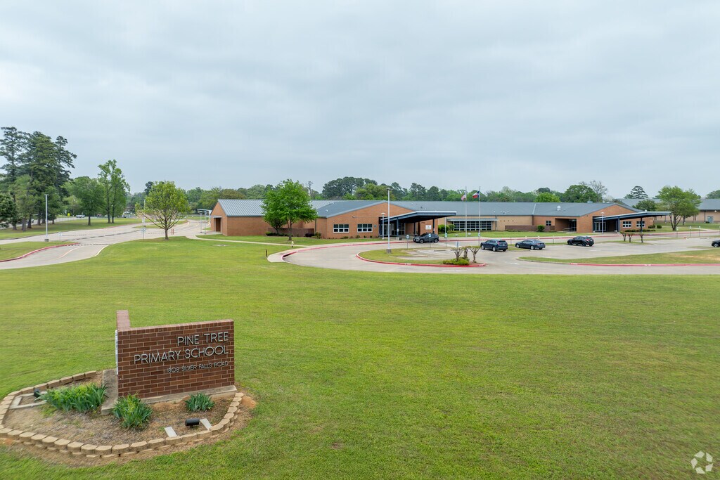 Pine Tree Primary School