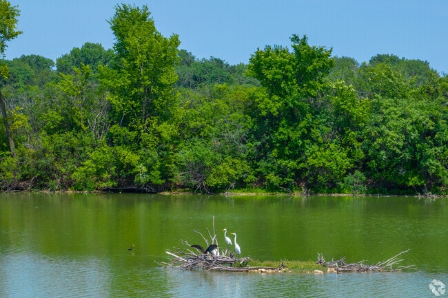 Enjoy bird and wildlife watching while at Lake Renwick Preserve, a short way from Wesglen.