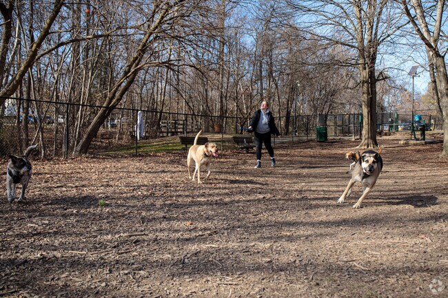 Bring your canine friends out for a playdate at the Leo Wilson Dog Park in Laurel.