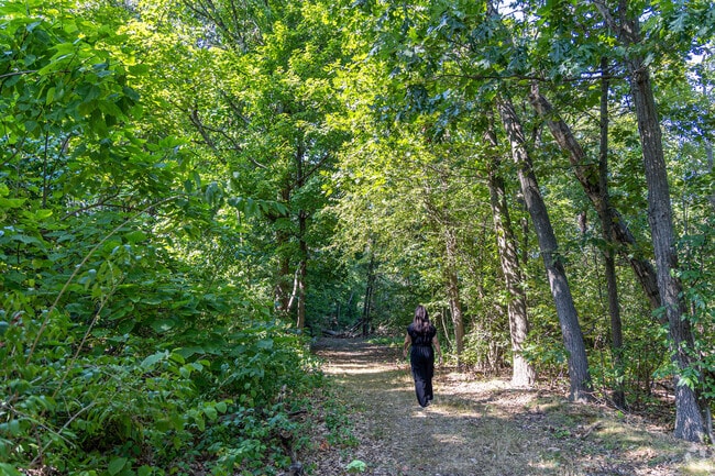 Enjoy a walk through the Cranberry Bog Conservation in the village of Walnut Hill.
