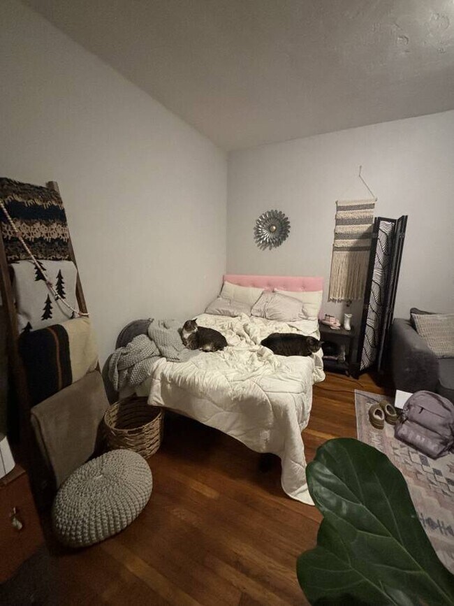 4 Woodstock Ave unit 1, Brighton, MA 02135 - photo 5