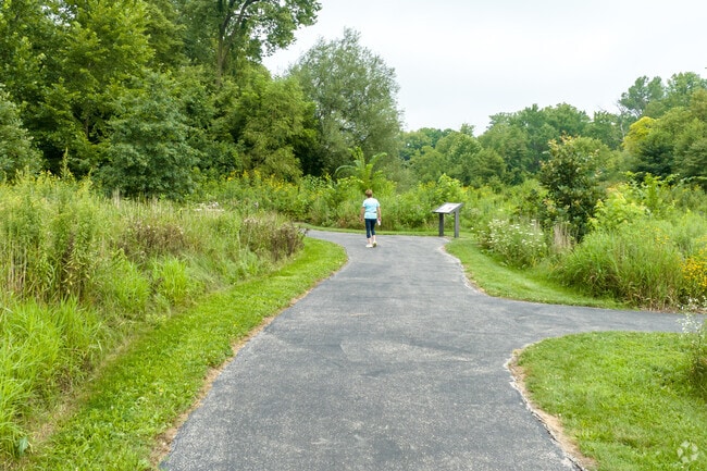 At Warrenville Grove Forest Preserve, a resident is taking a walk along the river.