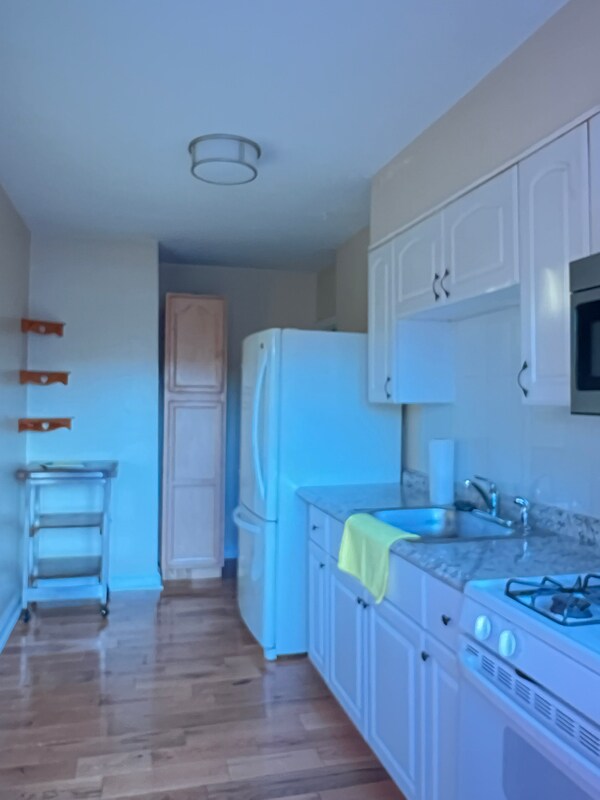 1204 Steelton Ave Unit 1204 steelton ave unite 1, Baltimore, MD 21224