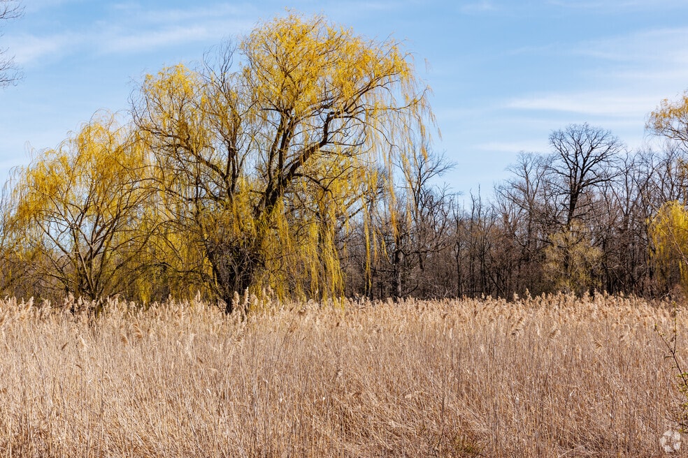 Highlands-Schaumburg