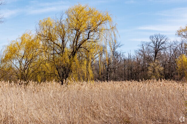 Beautiful landscapes ready to bloom in spring time at Paul Douglas Preserve.