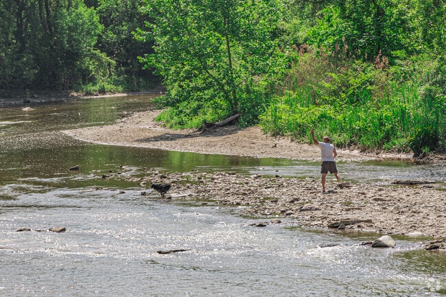Dogs often splash in the Chagrin River at Eastlake's Chagrin River Park.