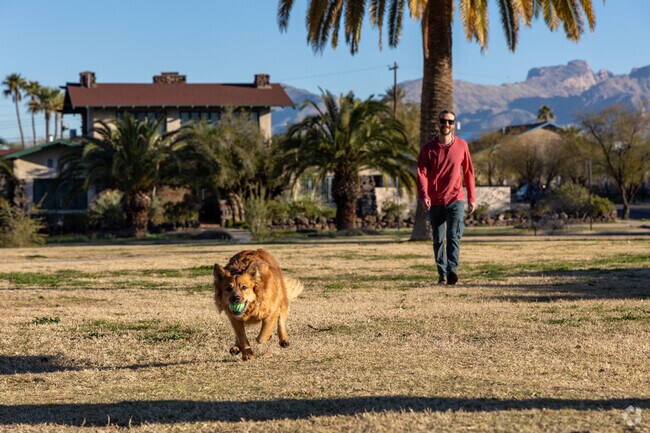 With over 3.7 acres, Catalina Park is a fun place to take your dog.