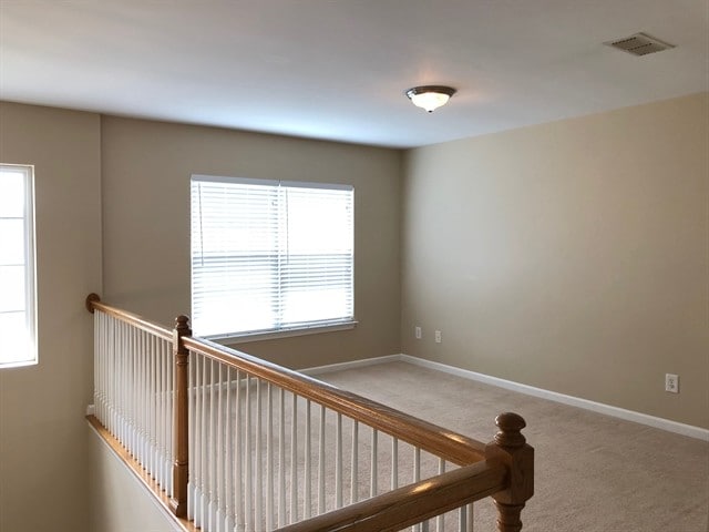 6008 Twin Feather Run, Spring Hill, TN 37174 - photo 6