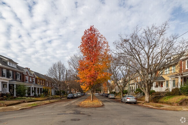Large trees can be in residential areas of Byrd Park.
