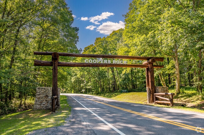 Coopers Rock State Forest is a go to destination for residents of Cheat Lake for walking trails.