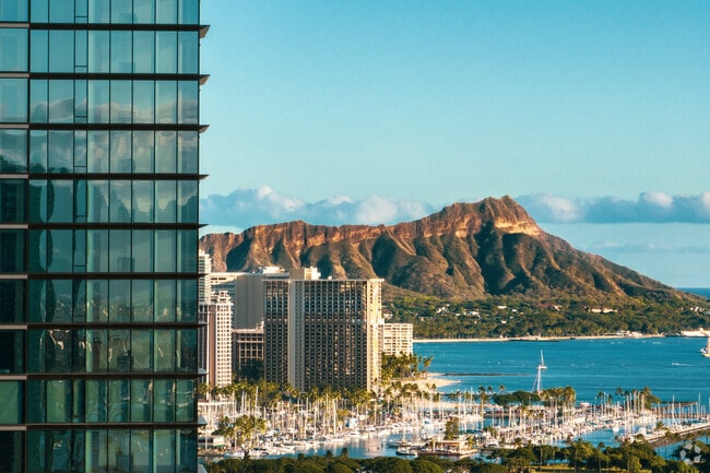 The city offers a unique blend of urban life and natural beauty.