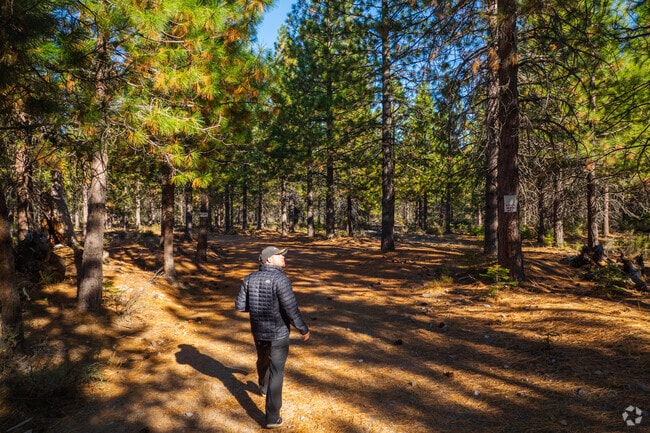 Hikers explore trails near Mount Shasta and Black Butte.