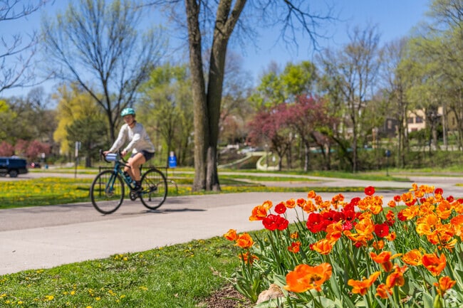 A cyclist passes by a bed of tulips along Lake Harriet Parkway.