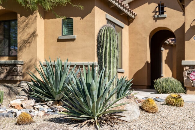Native cacti thrive in the desert environment of McDowell Mountain Ranch.