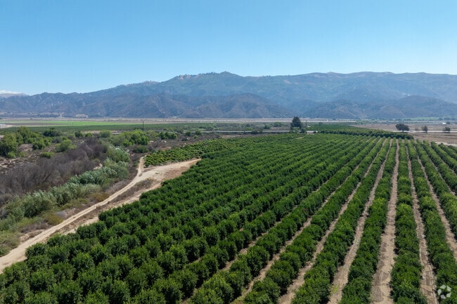 Citrus orchards and peaceful residential pockets make up the quaint Ventura County community of Piru.