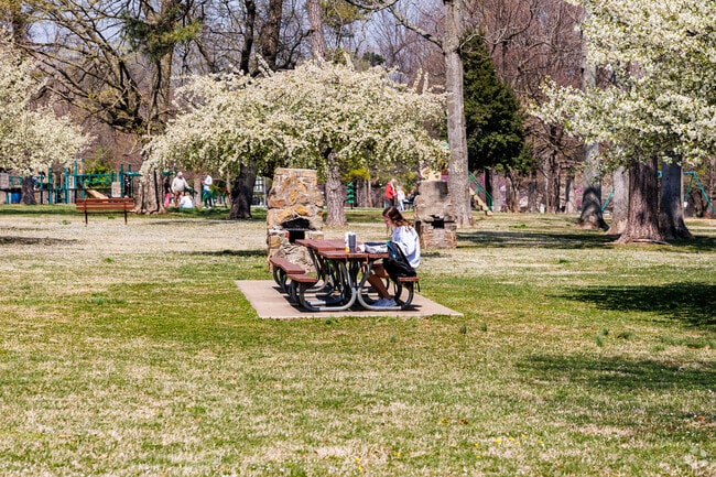 Phelps visitors soak up the sun on a bright day at the park.